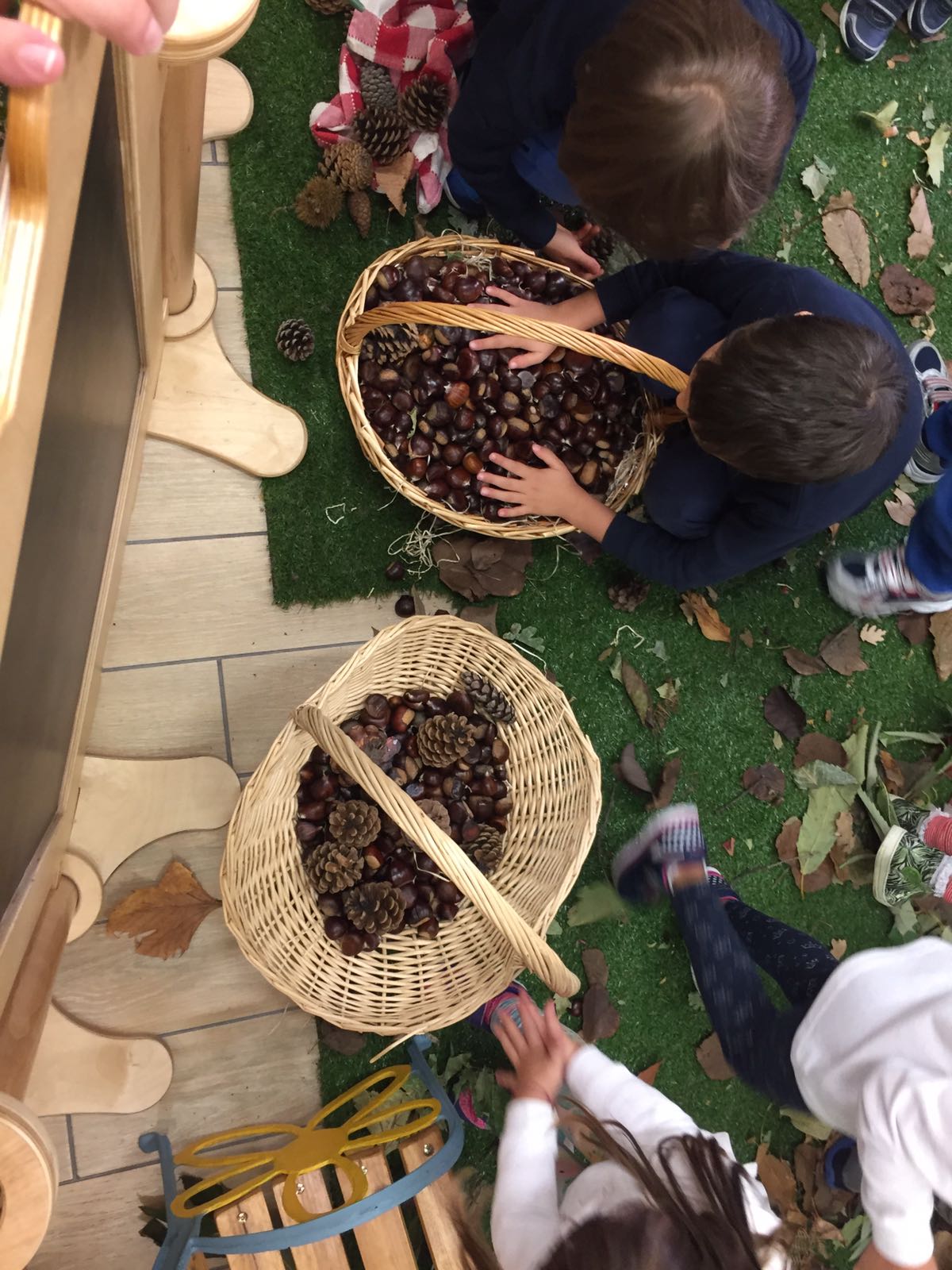 Laboratorio autunnale