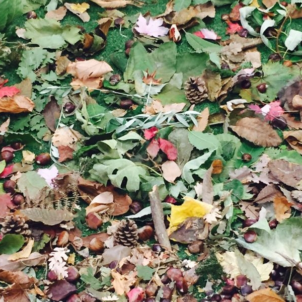 Laboratorio autunnale