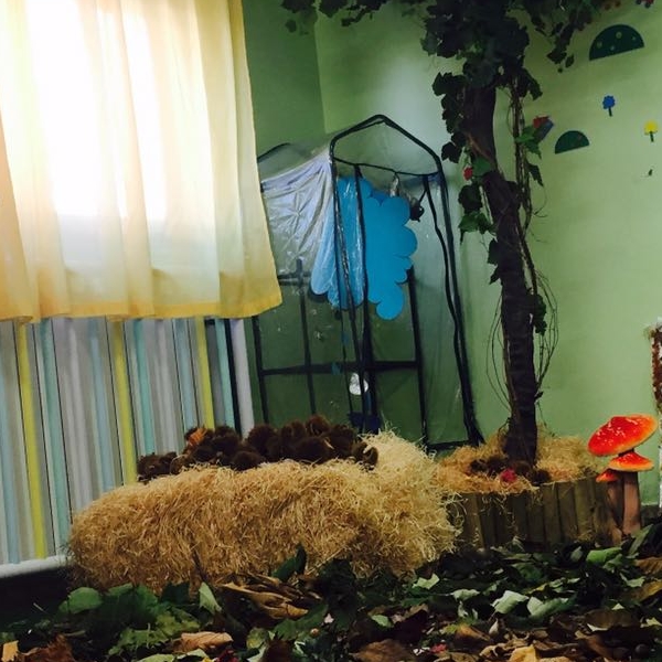 Laboratorio autunnale